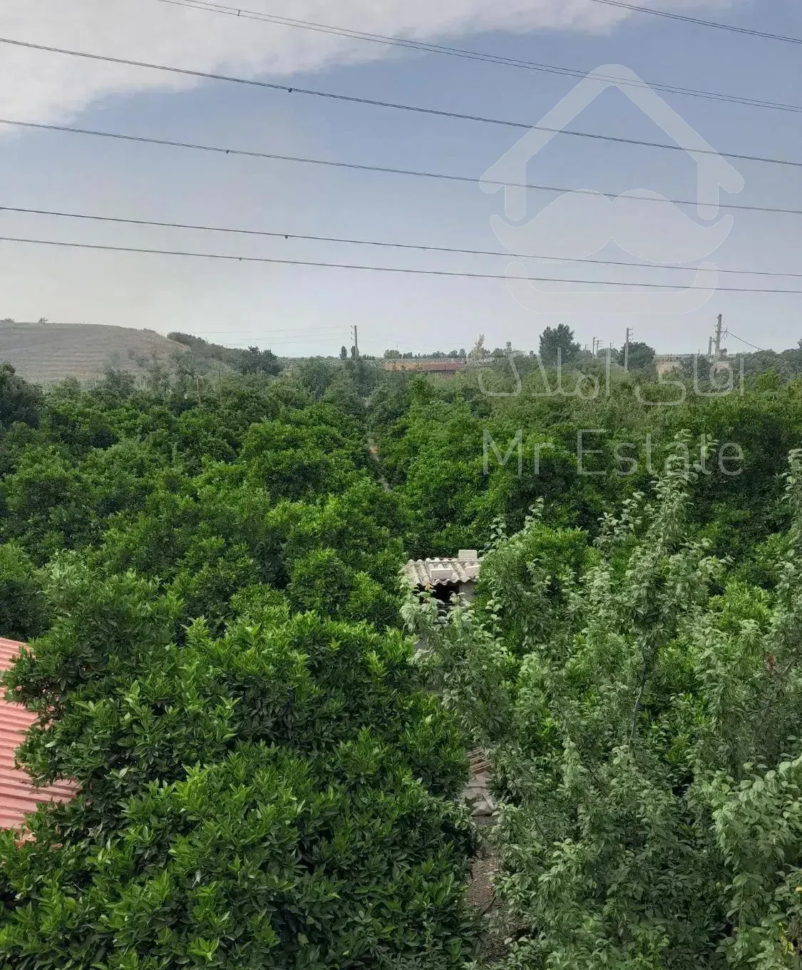 خانه باغ ویلا۵۰۰۰ متر