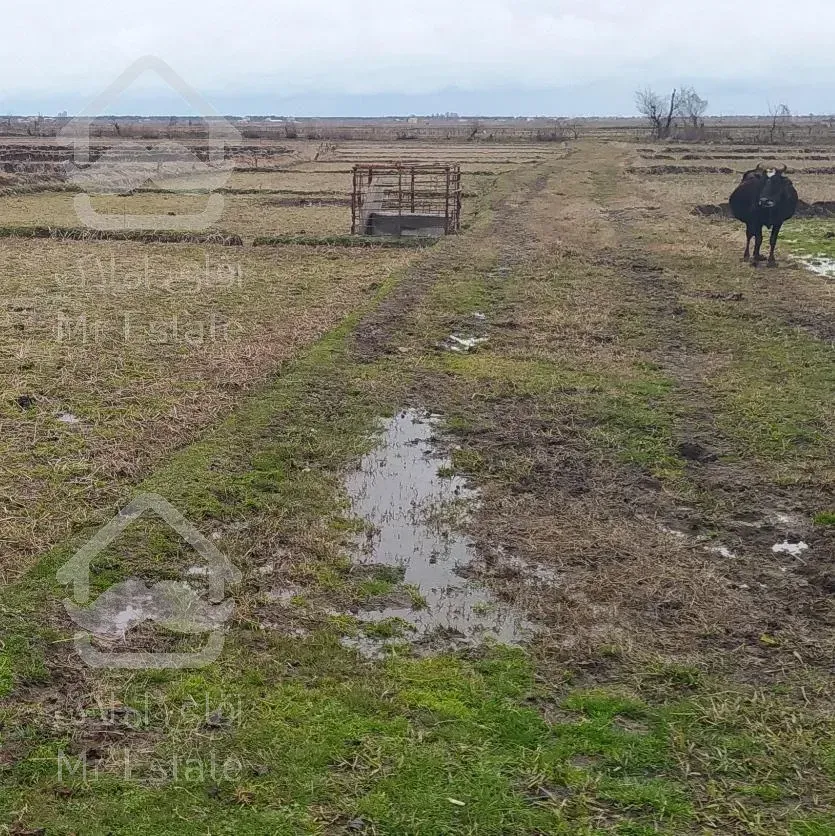 زمین مزروعی مناسب سرمایه گذاری