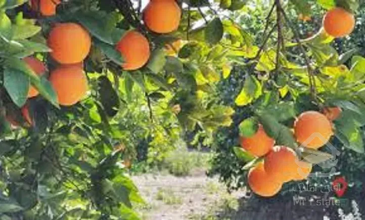 500 متر زمین معاوضه با آپارتمان