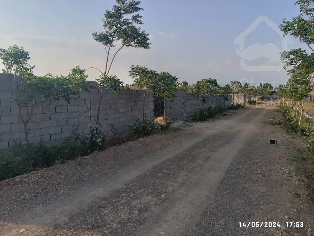 باغچه چسب اسب دوانی