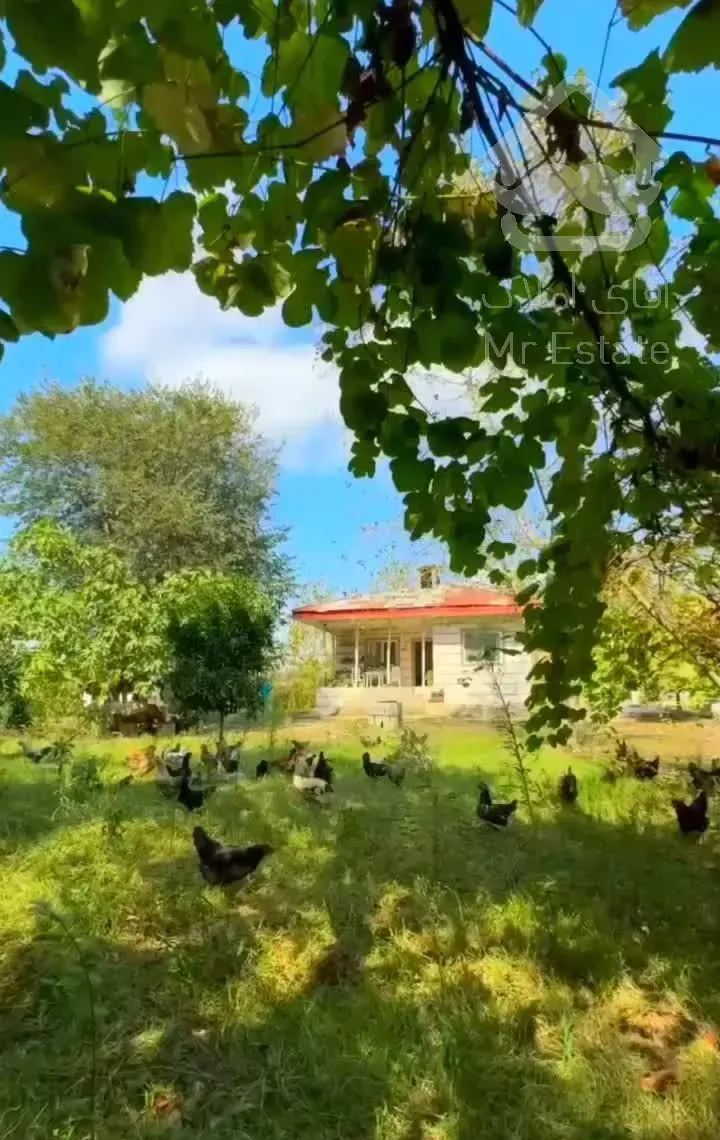۱۰۰۰ متر خانه محوطه جنگلی روستایی بنای شیک