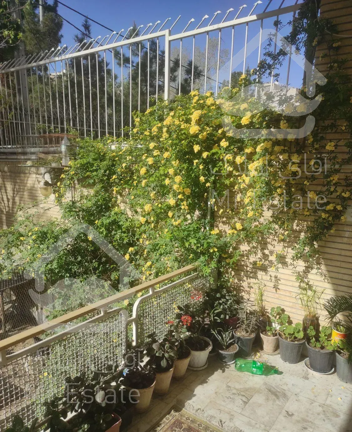 اجاره آپارتمان  با موقعیت مکانی  تمیز و زیبا