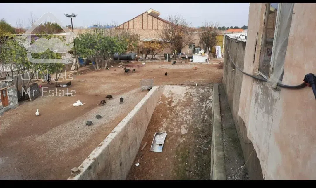 فروش دامداری ، گاوداری ، شهریار ، شاهد شهر