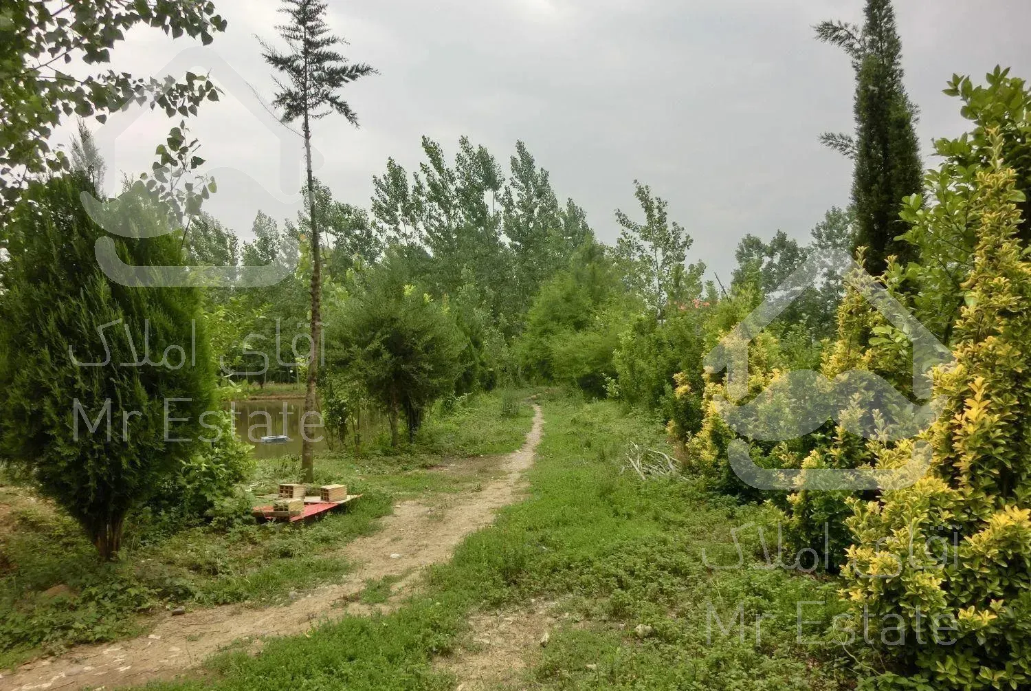 ویلا باغ.۱۲۰۰۰ متر.سقالکسار،گیلان