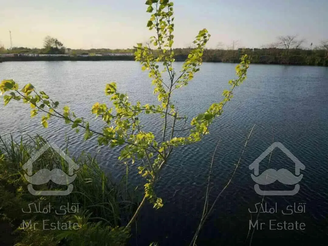 استخرماهی همراه امتیاز وام میلیاردی گیلان