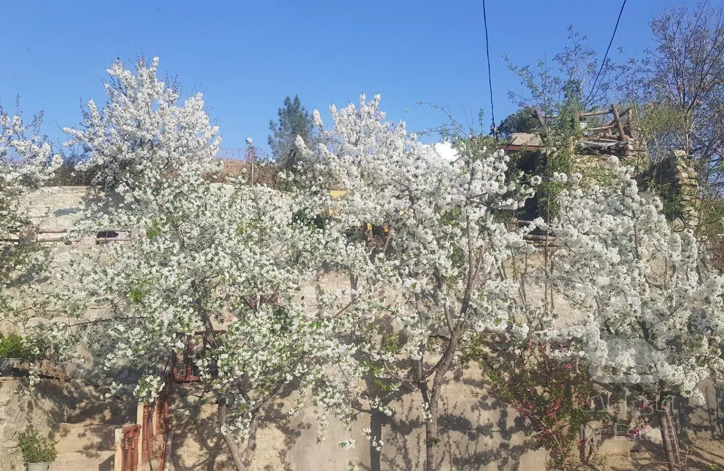 باغ 3000 متری واقع در وردیج