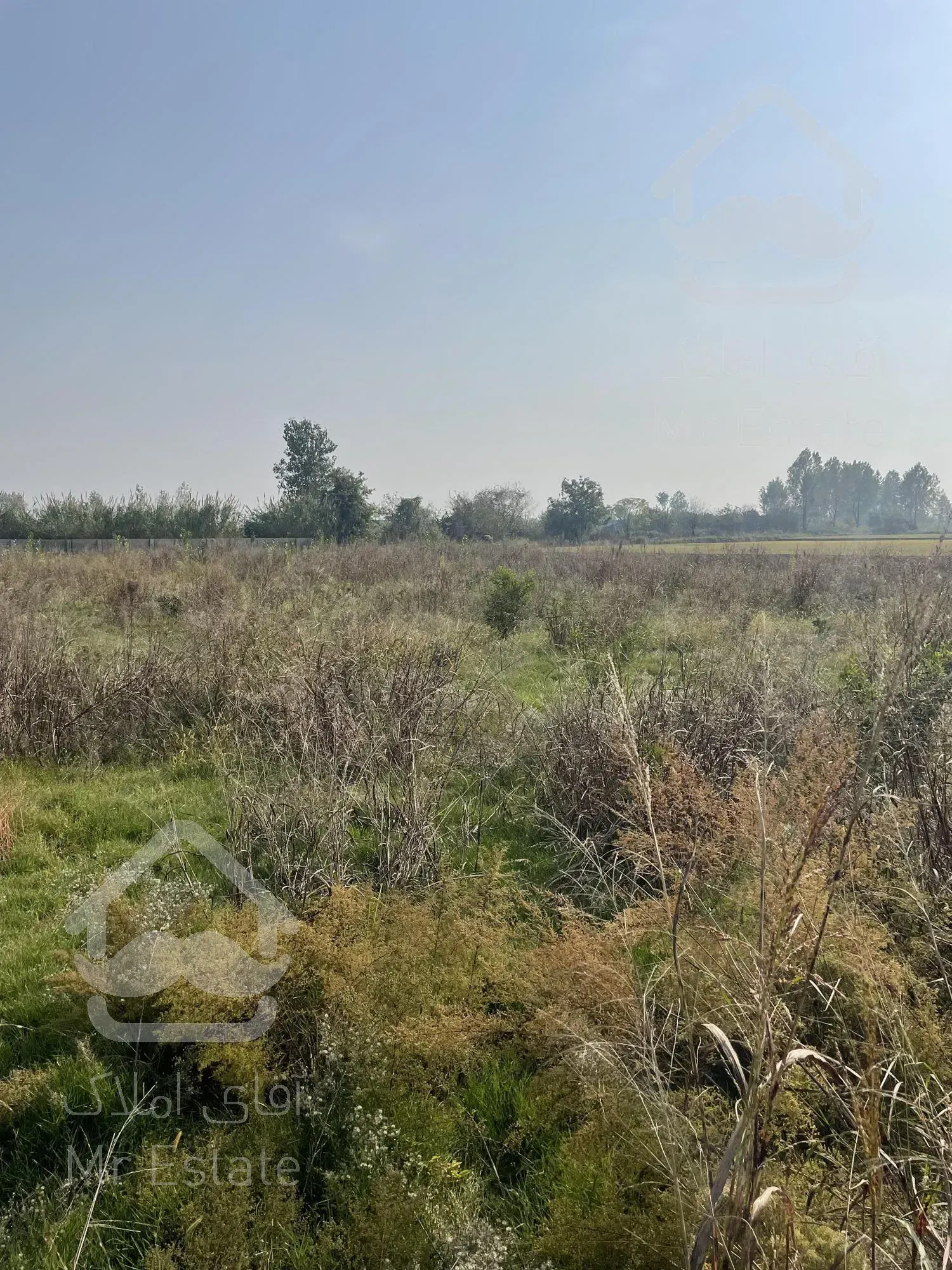 با ۳۰۰ میلیون صاحب زمین شوید