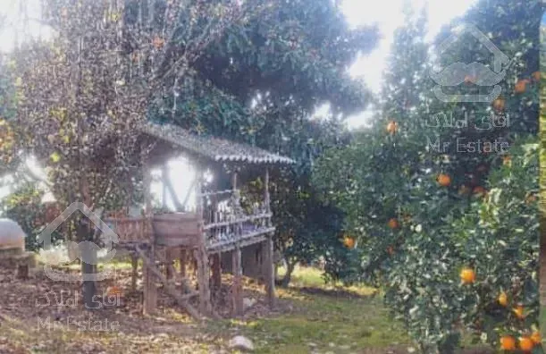 زمین200 متری/ عالی برای سرمایه گذاری /قیمت مناسب