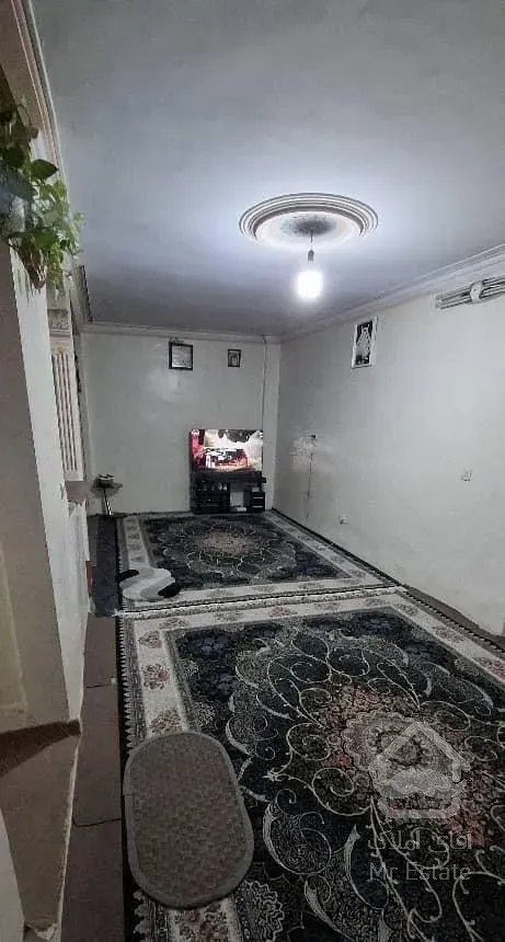 فروش آپارتمان ۶۰ متری ۱ خوابه طبقه ۲ در شمیران‌نو