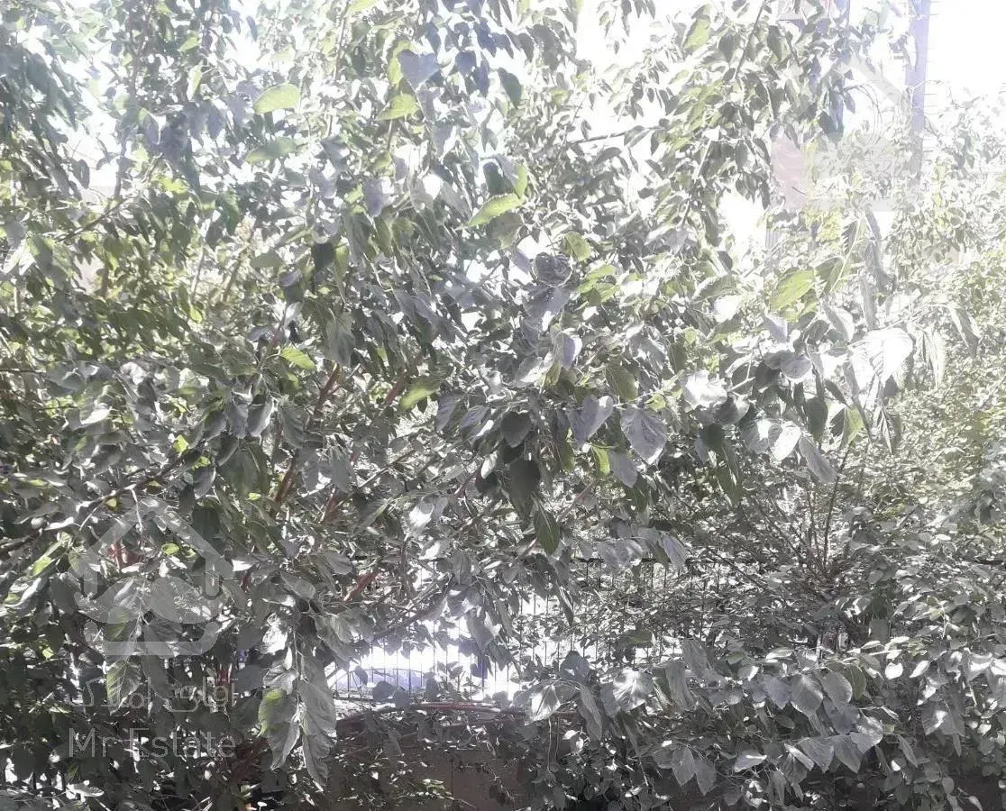 ۱۵۲متر/ ۷۵ متر قدرالسهم/ یوسف آباد