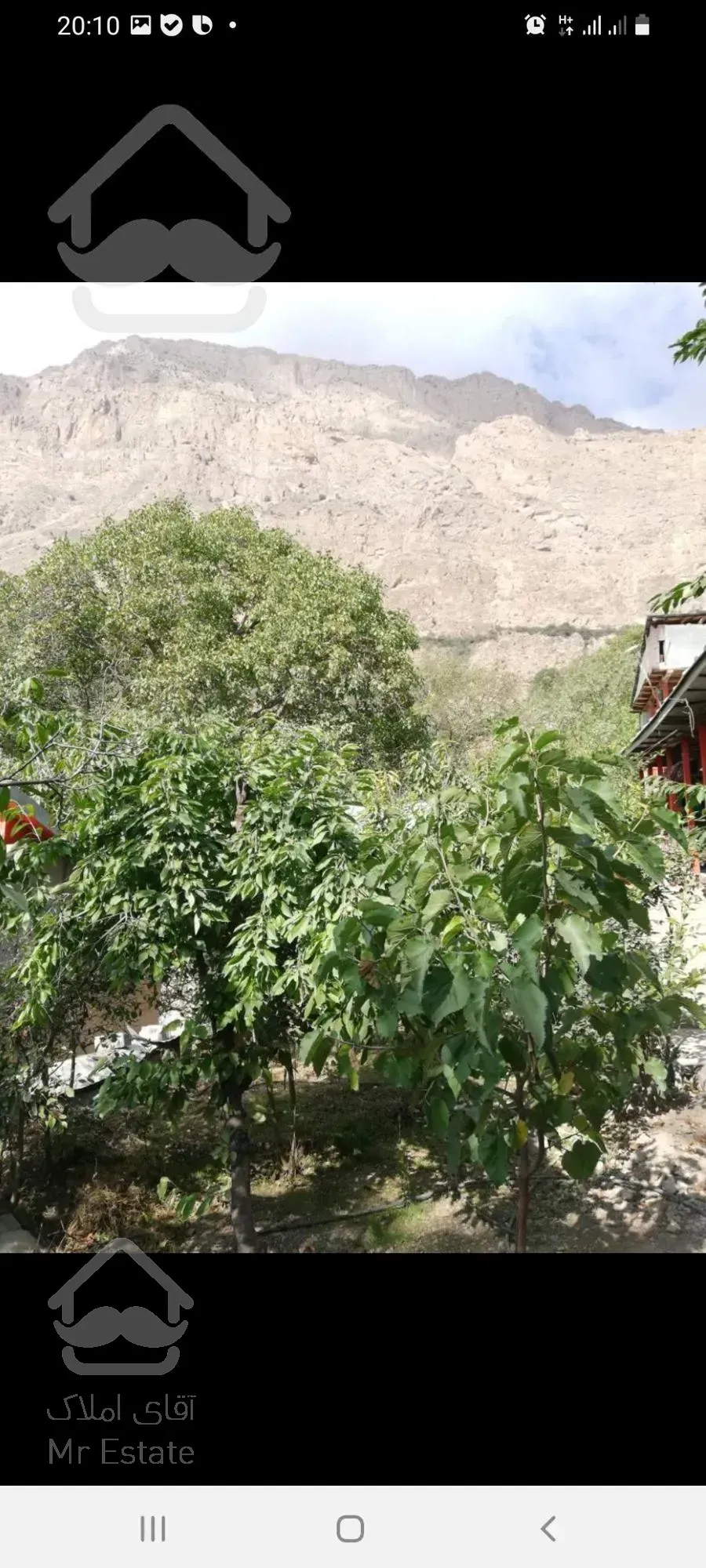 باغ گردو در روستای امیری آمل