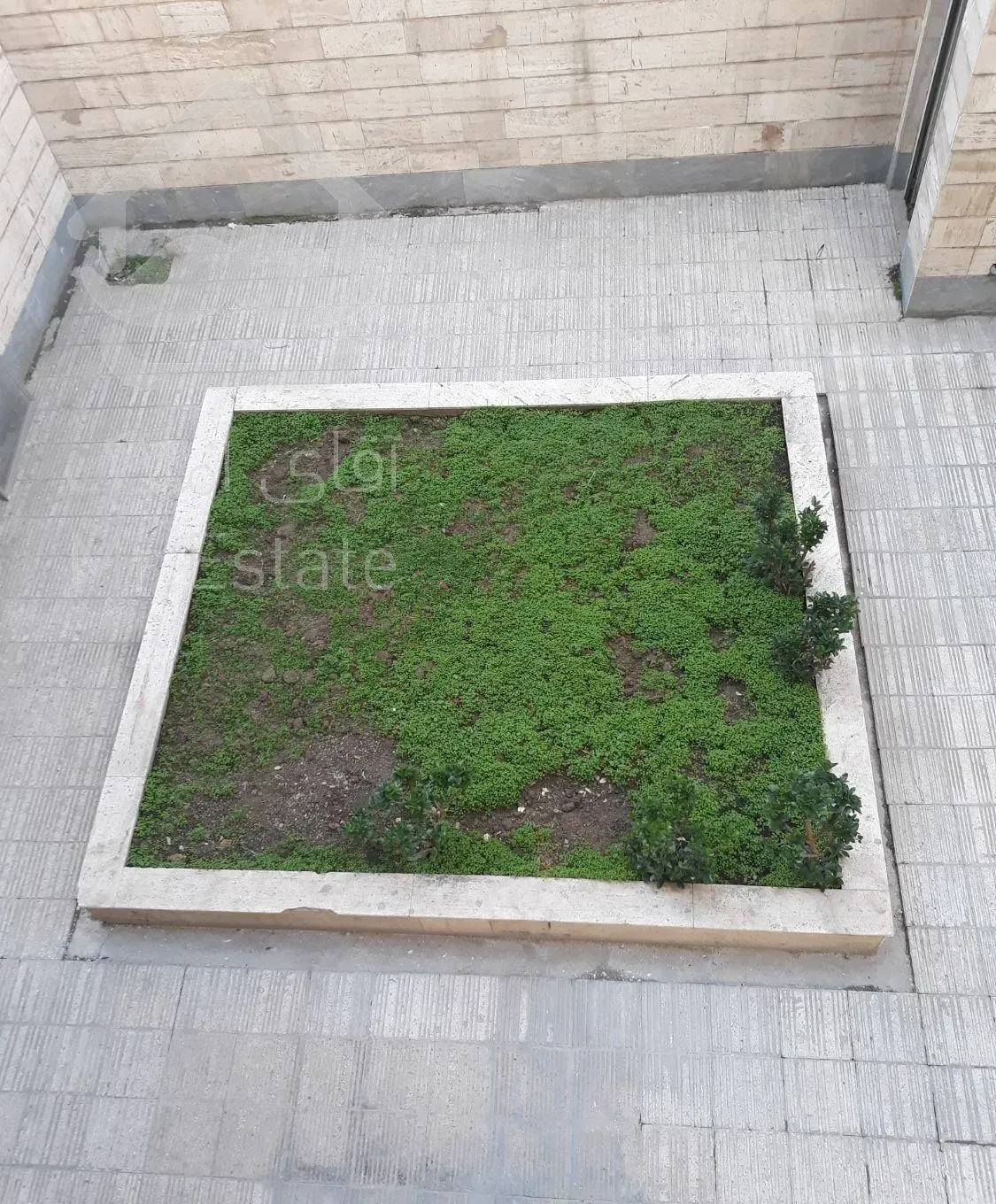 آپارتمان ۶۰ متری ۱ خوابه/ حیاط مستقل در اختیار