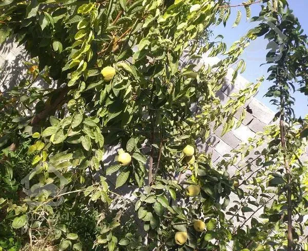 ویلا باغ ۴۱۹متر در منطقه دماوند(مهراباد.چشمه ها)