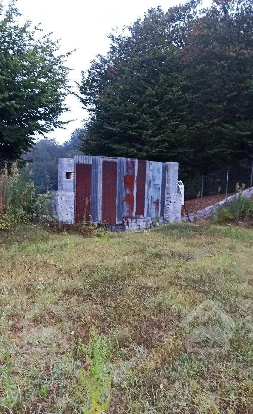 زمین جنگلی قادیکلای بزرگ با موقعیت تجاری  قادیکلا