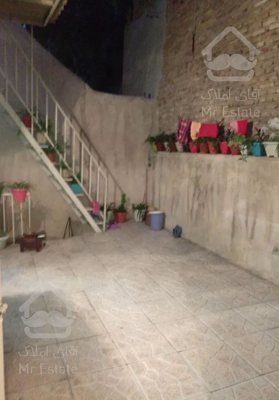 کلنگی شمیران نو