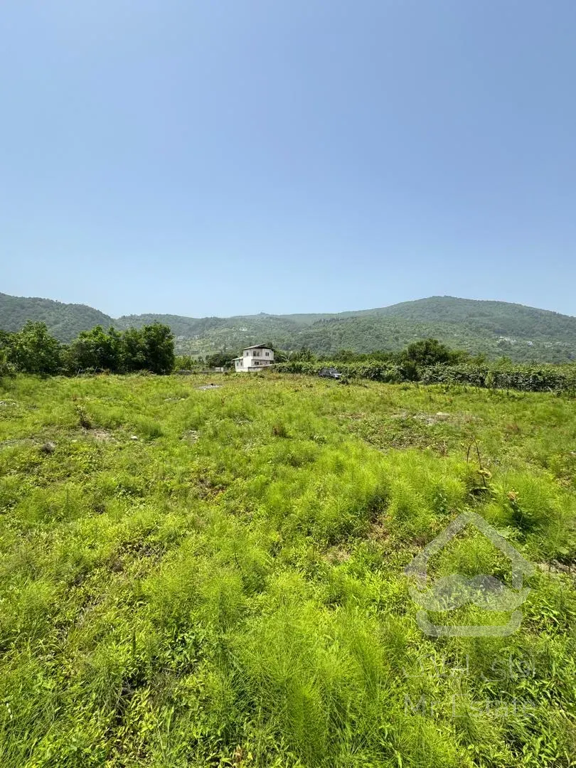 فروش و معاوضه ۶ قطعه زمین ۲۰۰ متری جاده رامسر