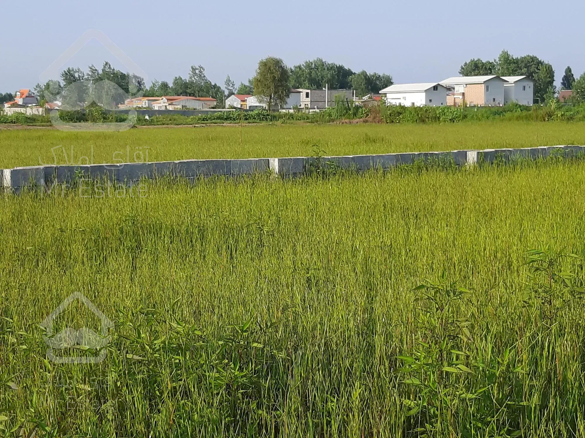 ۳۴۳ متر زمین باشرایط ویژه چاف