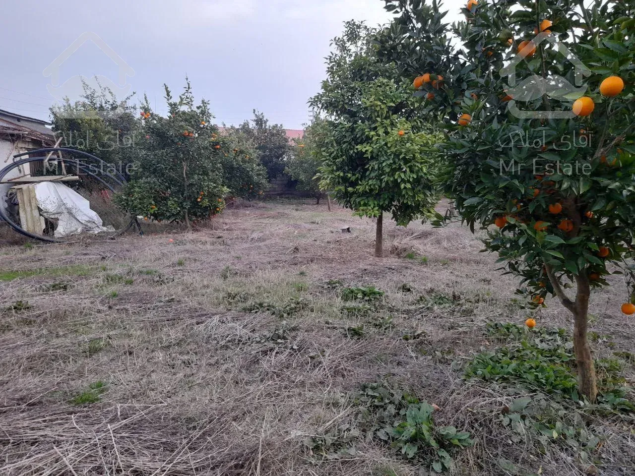 سرمایه گذاری باسودصددرصد