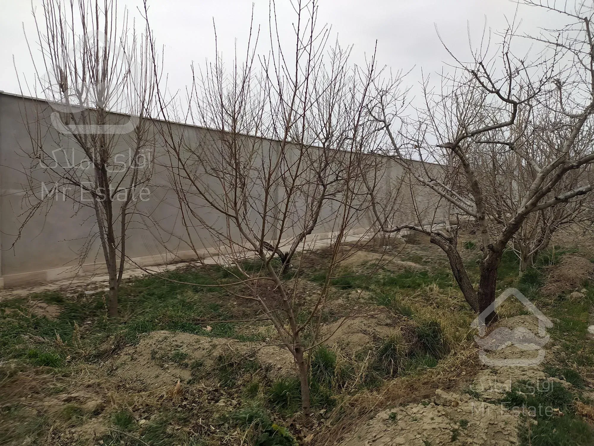 ۱۳۰۰متر ویلا واقع در کردان جنوبی تهران دشت سرخاب