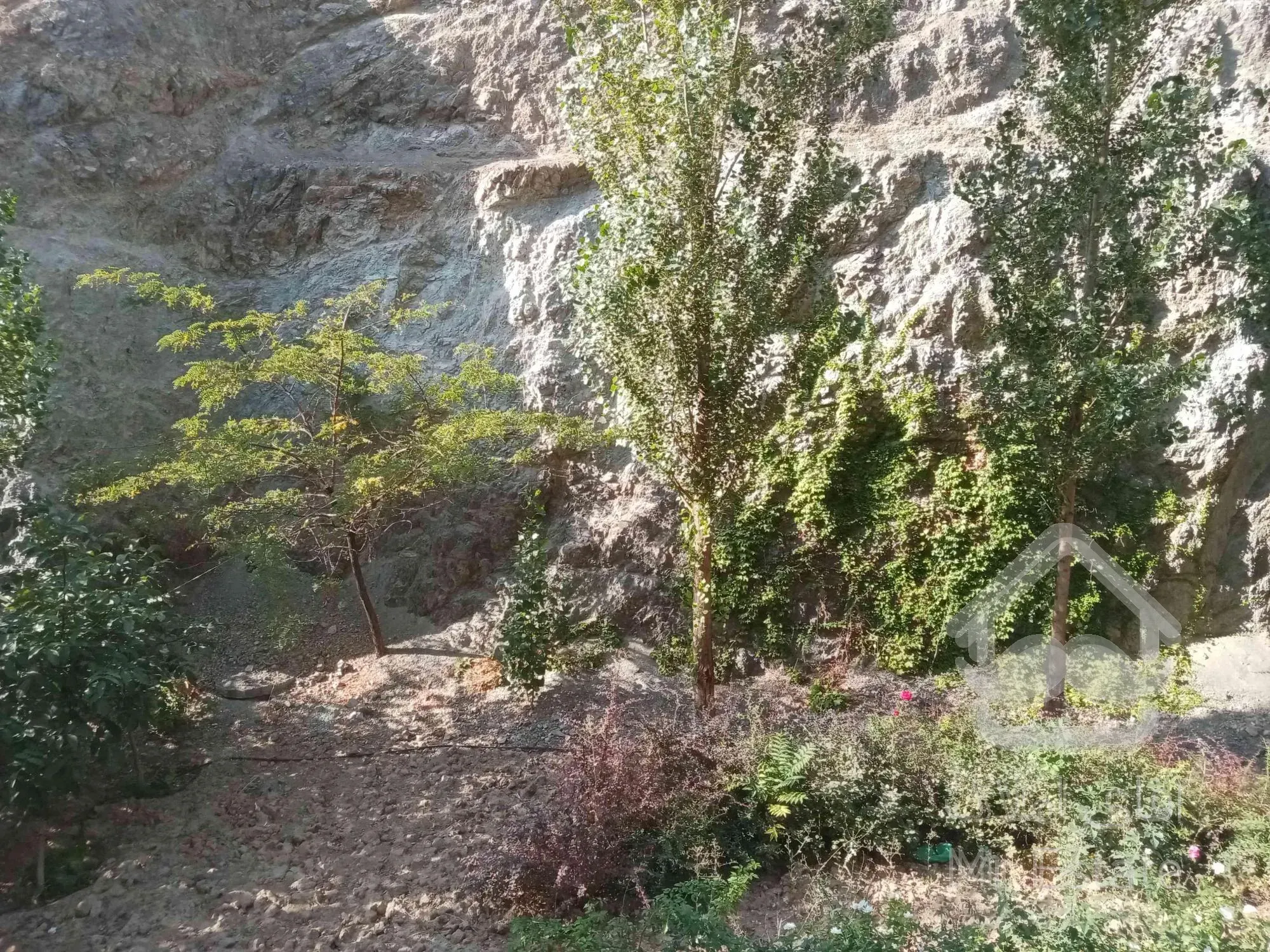 175 متر بام محک فول امکانات