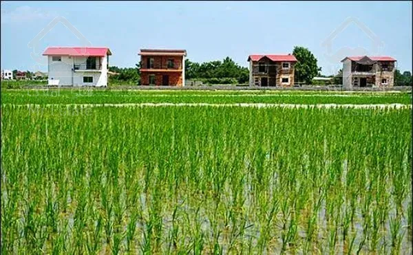 فروش زمین ۵۹۹۰ متری در نوشهر