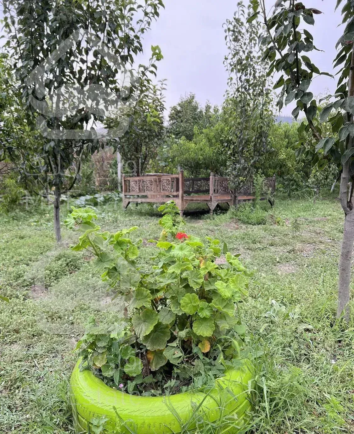 کلبه سنتی جنگلی شصت کلا