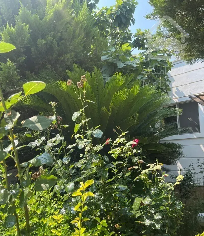 ویلا باغ ۲۵۰متری باسند تک برگ