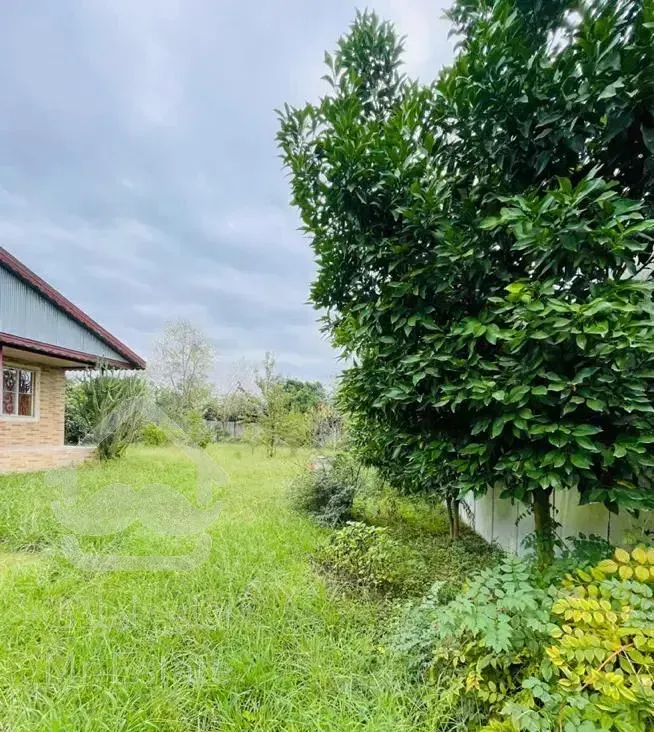 یک باغ ویلا هزار متر سند تک برگ زیر قیمت