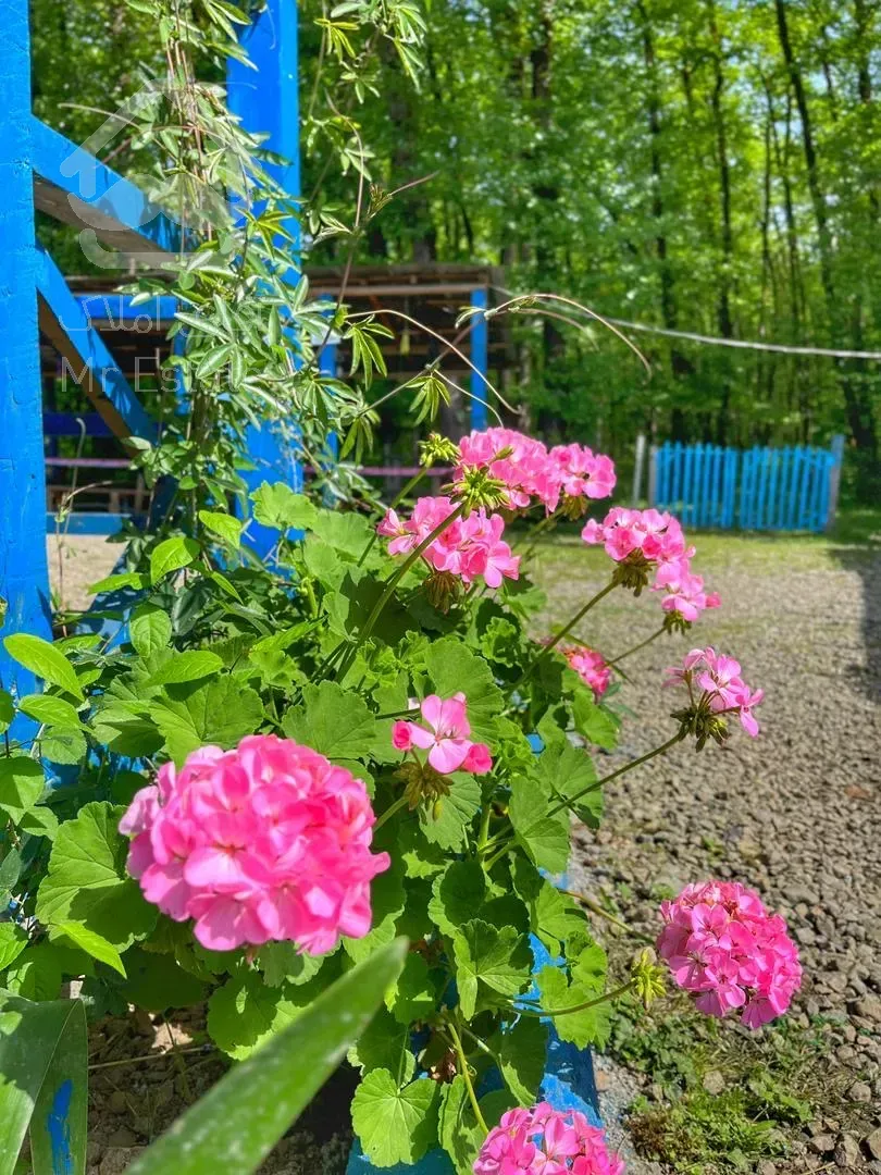 فروش اقامتگاه گردشگری در گیلان