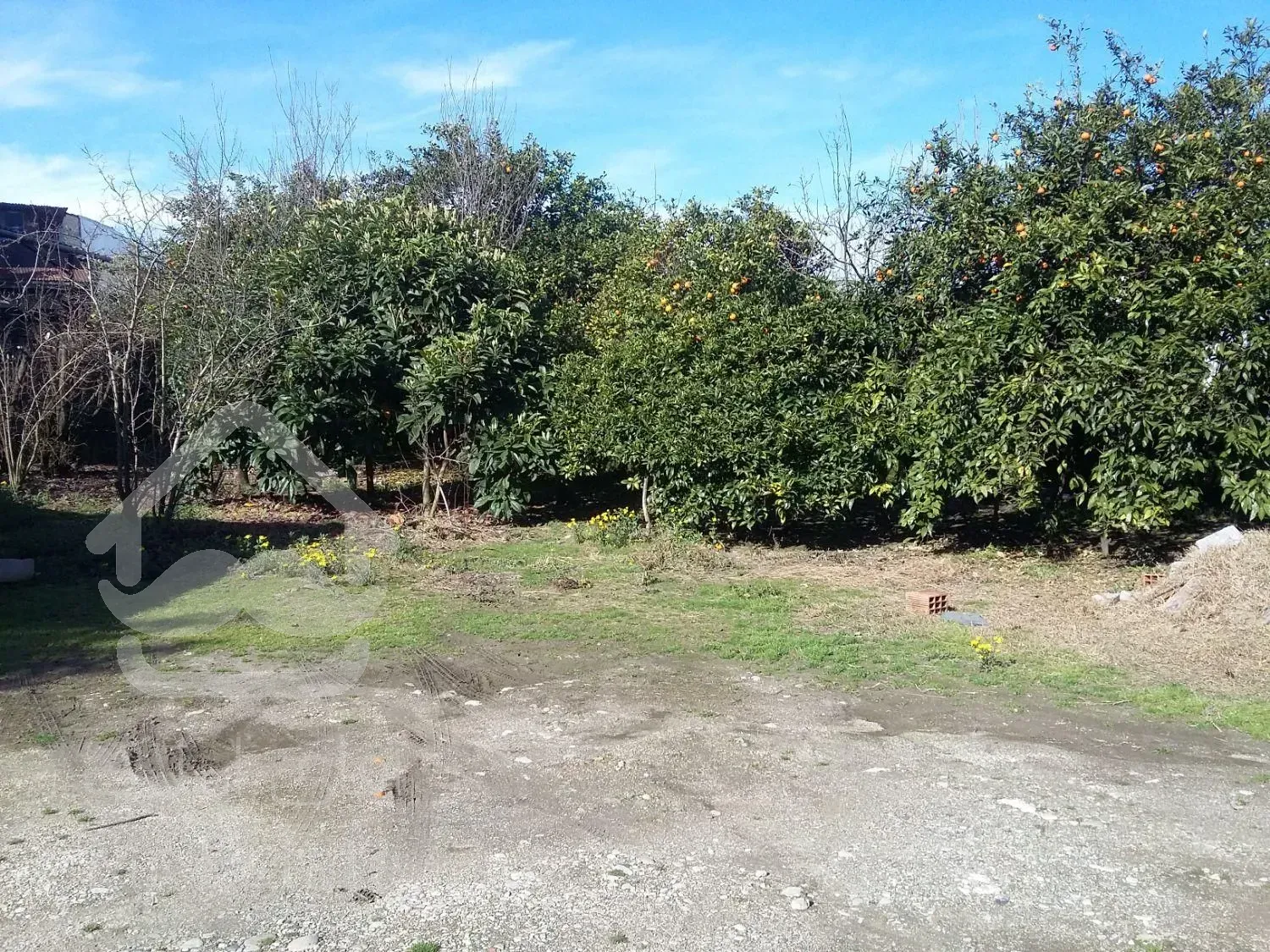 فروش فوری زمین در شهر نوشهر