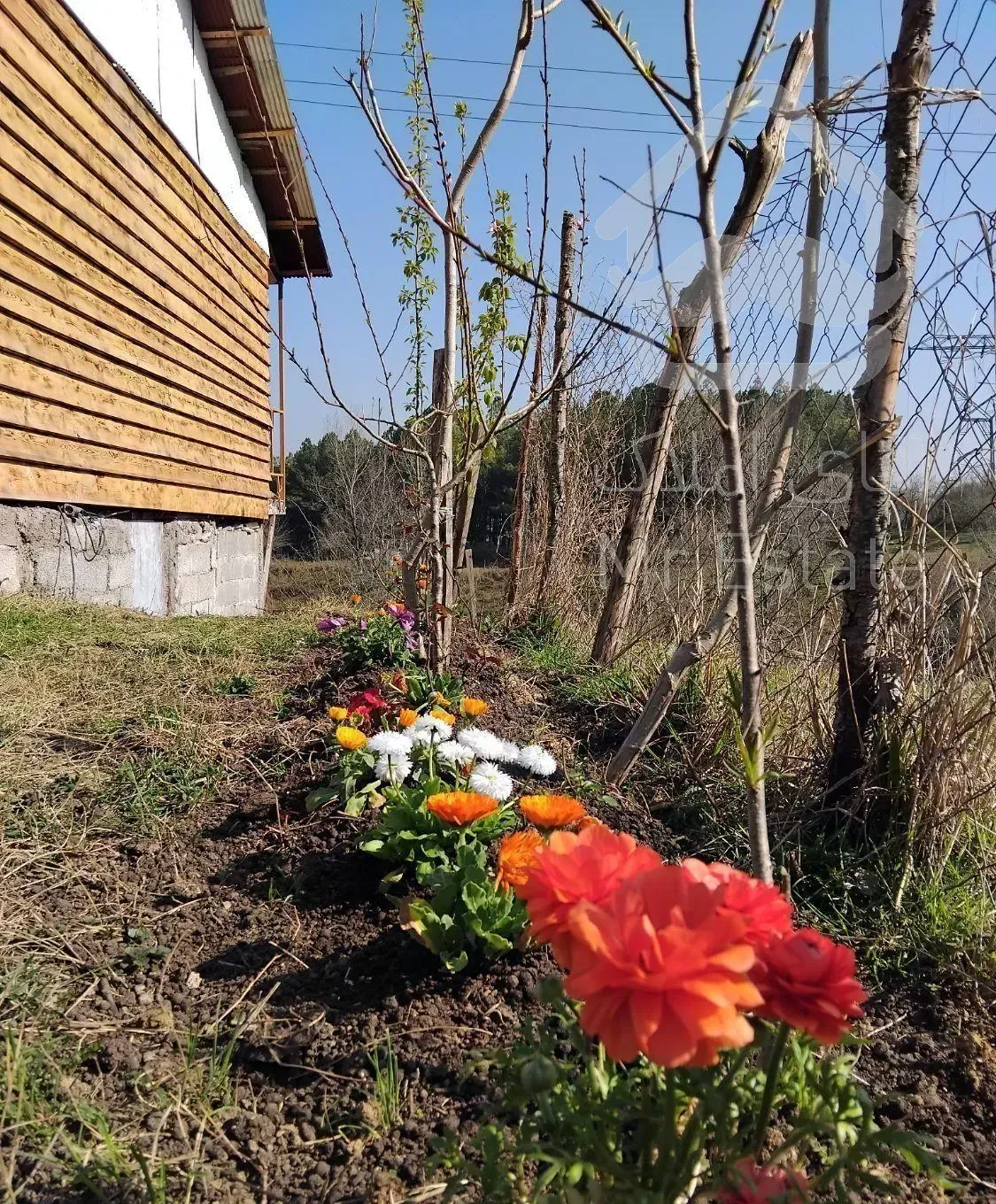 اجاره خانه ویلایی ۵۰ متری