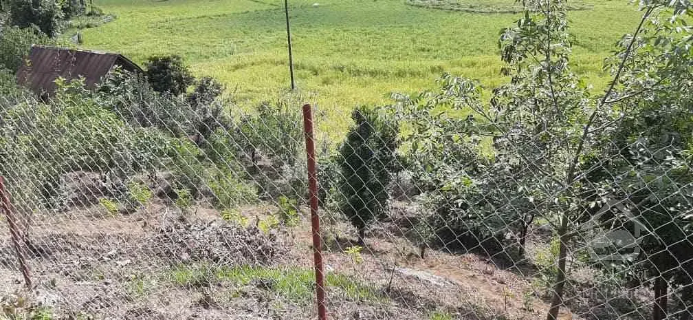 500متر زمین تماما مسکونی لاهیجان