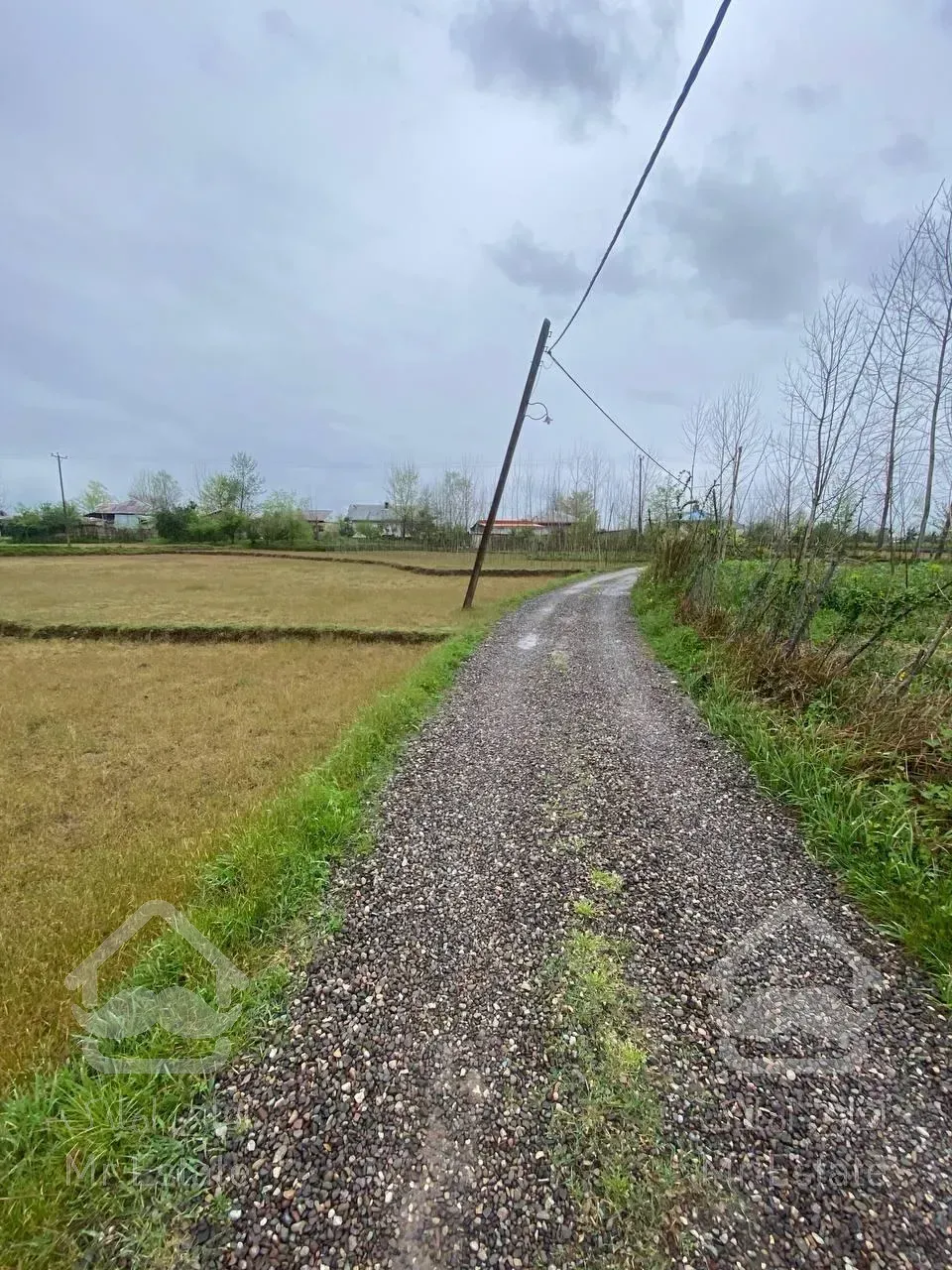 ۳۰۰۰متر زمین شالی و مسکونی در کوچصفهان