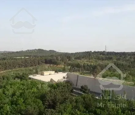 102 نوساز کلید نخورده رو به جنگل