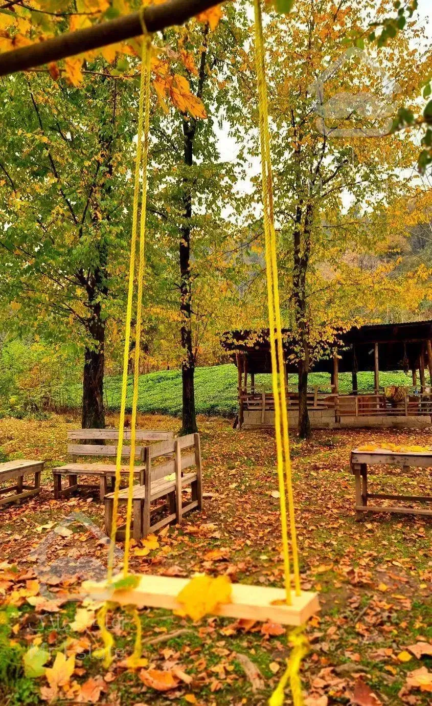 ویلا جنگلی هفتگی