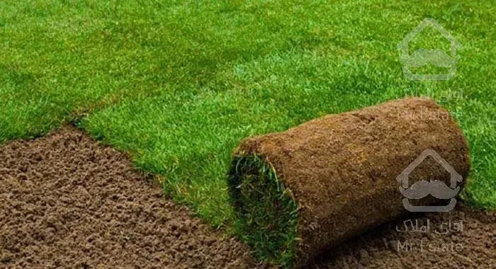 طراحی و اجرای فضای سبز و فروش چمن رول
