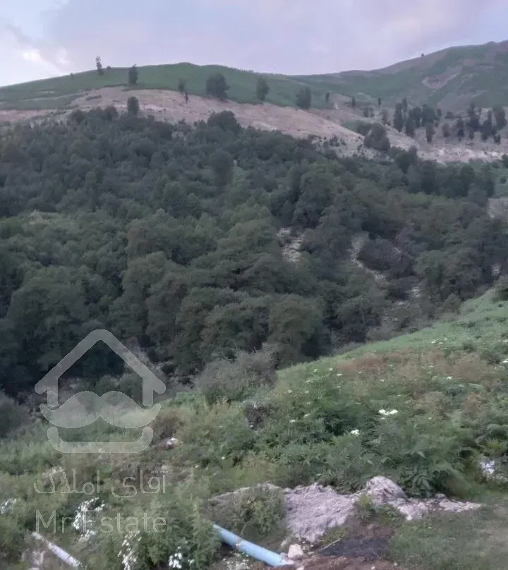 اجاره کلبه ییلاقی