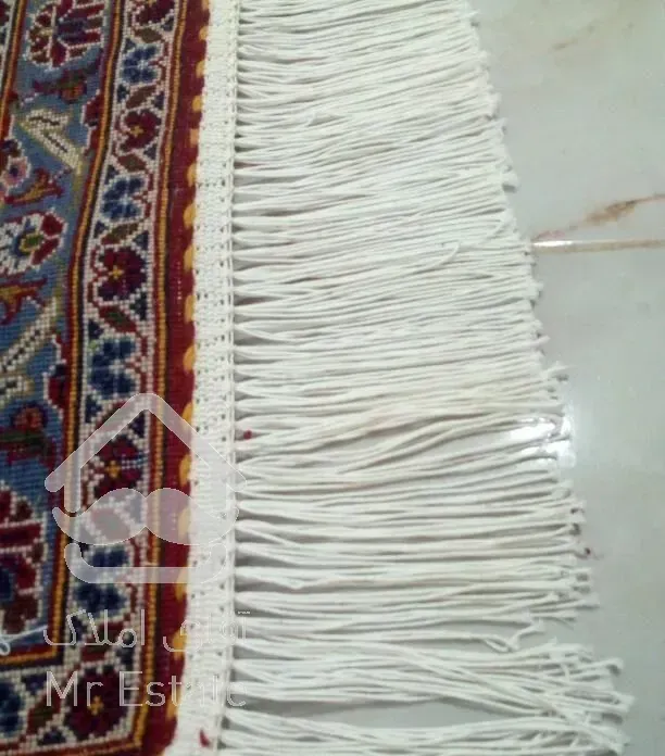 قالیشویی و مبل شویی مدرن دلفین