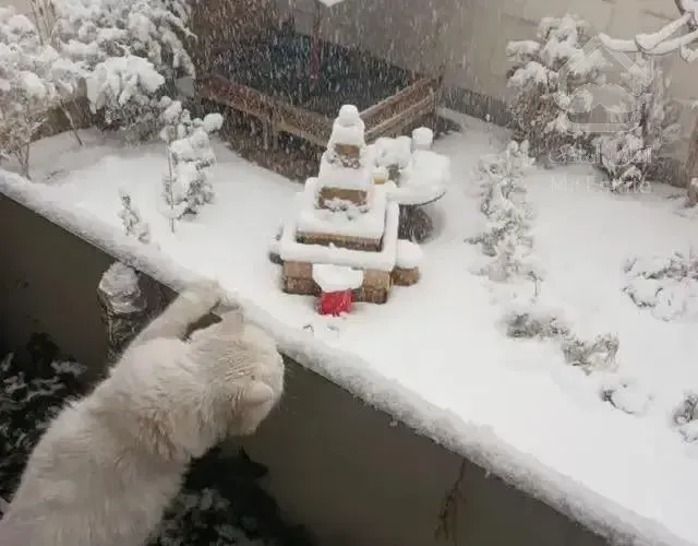 7 واحد جهت اجاره