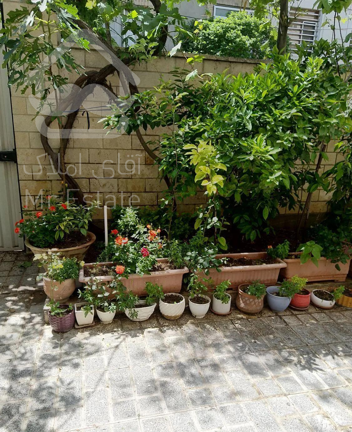 آپارتمان ۶۲متری درفضائی سرشارازآرامش