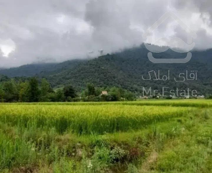 اجاره کلبه درماسال با چشم انداز سبز