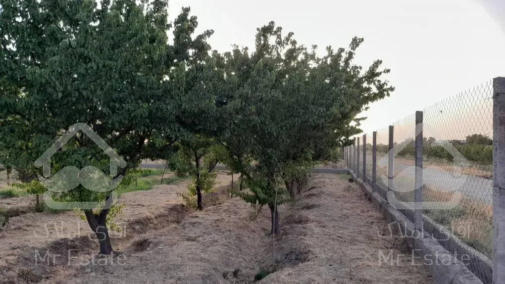 زمین باغی-هشتگرد-روستای انبار تپه