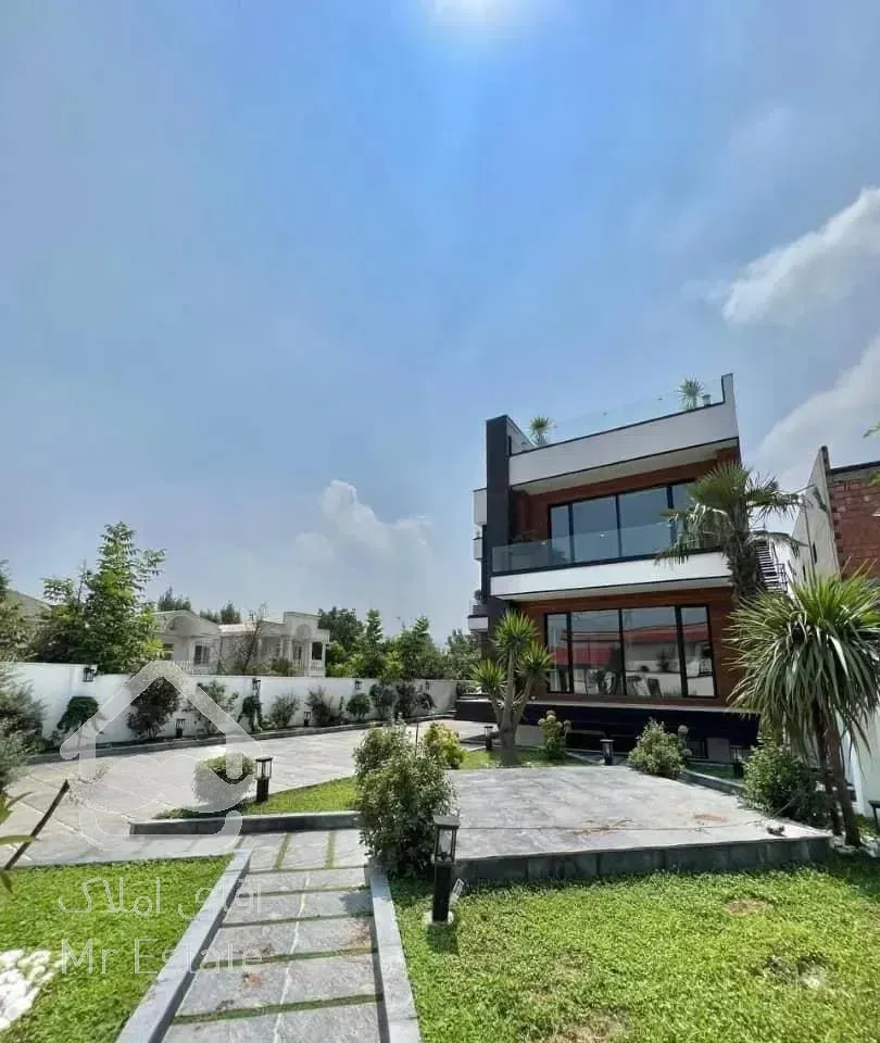 مدرن و  سند تک برگ در چمستان