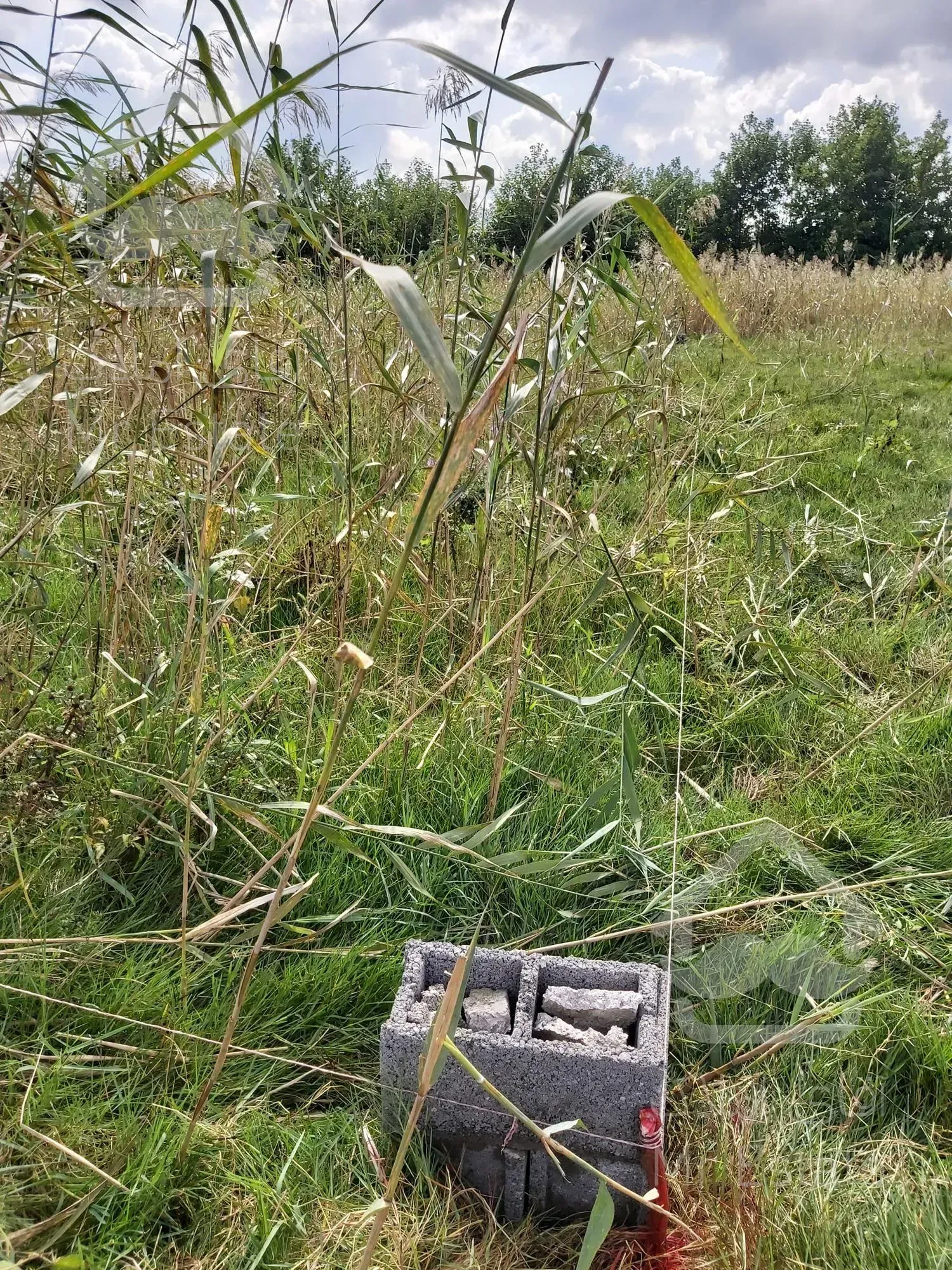 زمین مسکونی سند دار