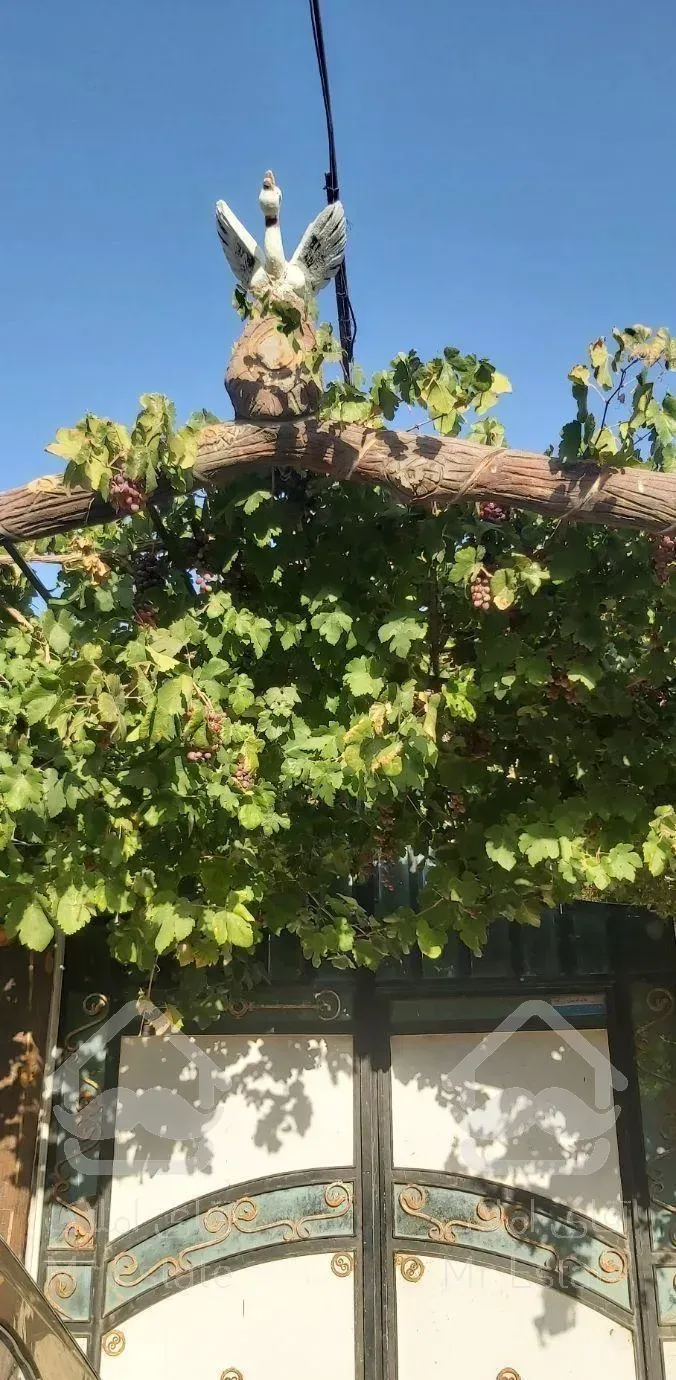 ویلا باغ در سانیج