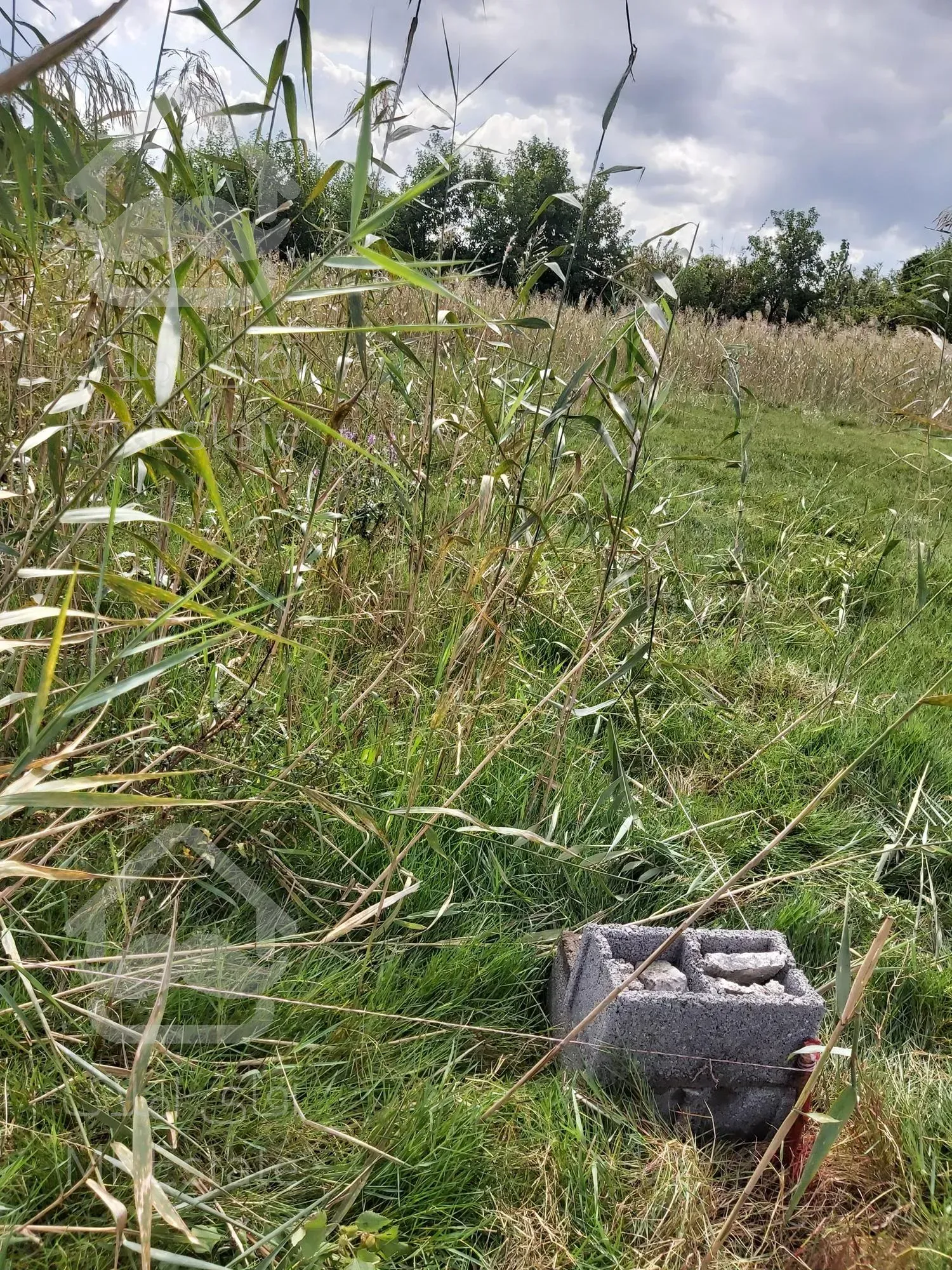 زمین مسکونی سند دار