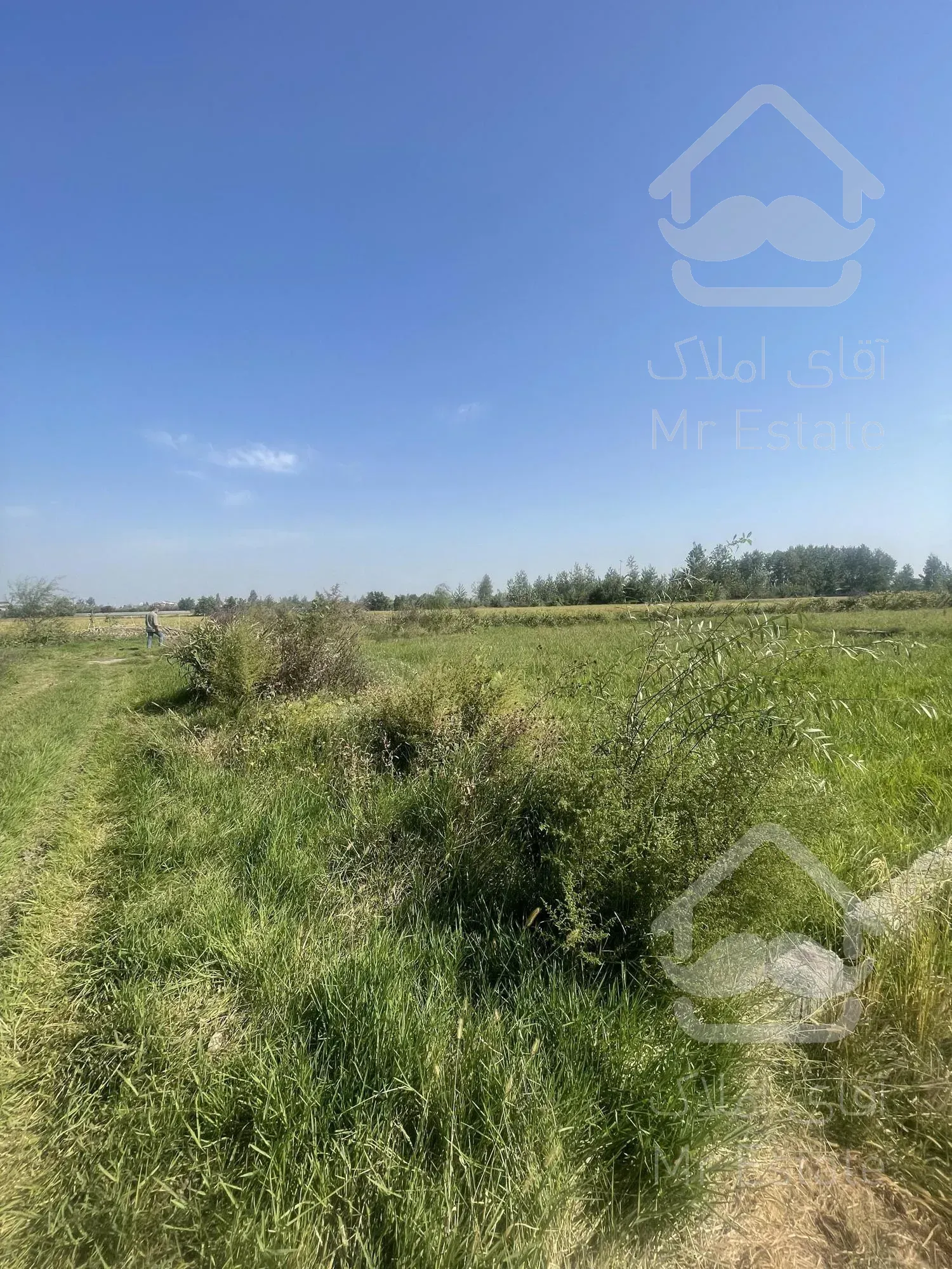 1300 متر زمین قابل تفکیک