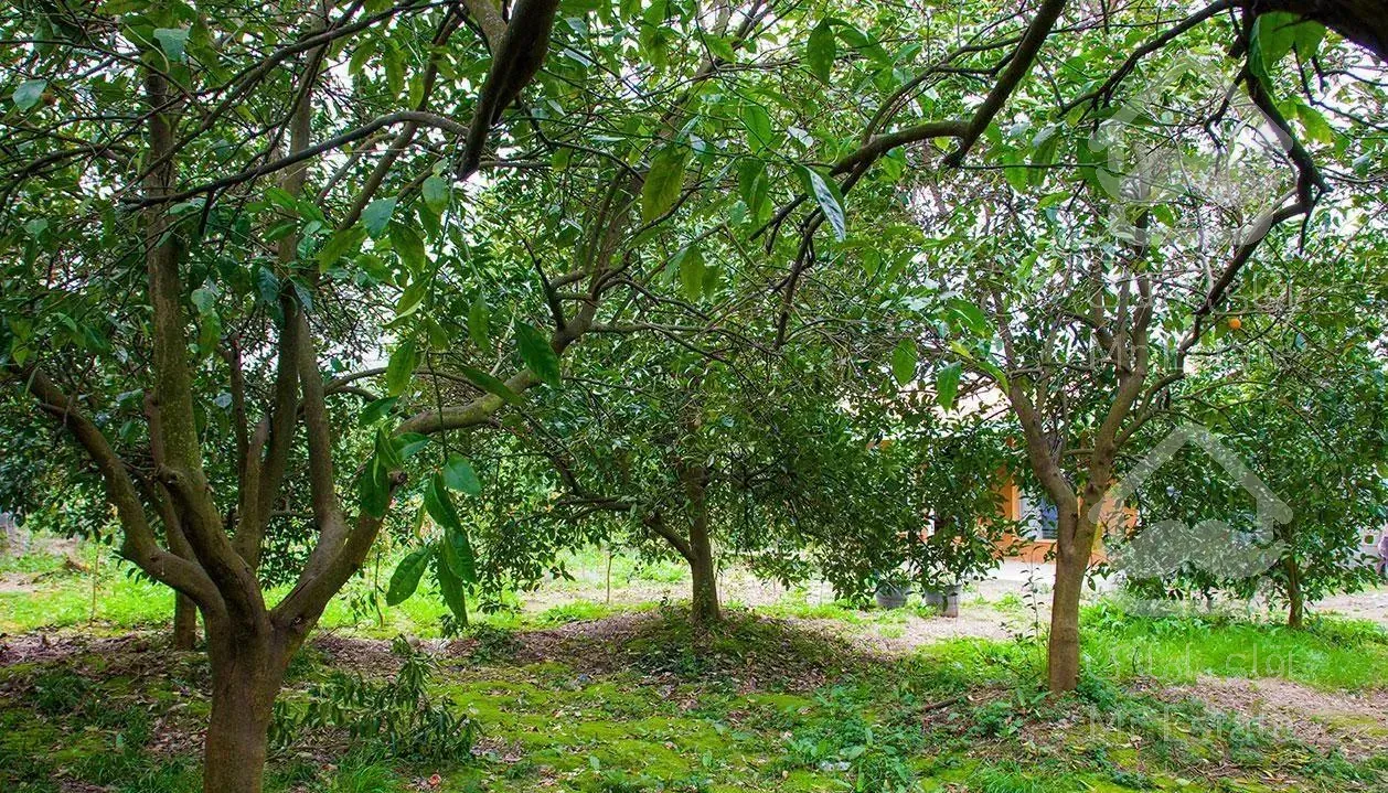 اجاره ویلا دربست کلیدنخورده