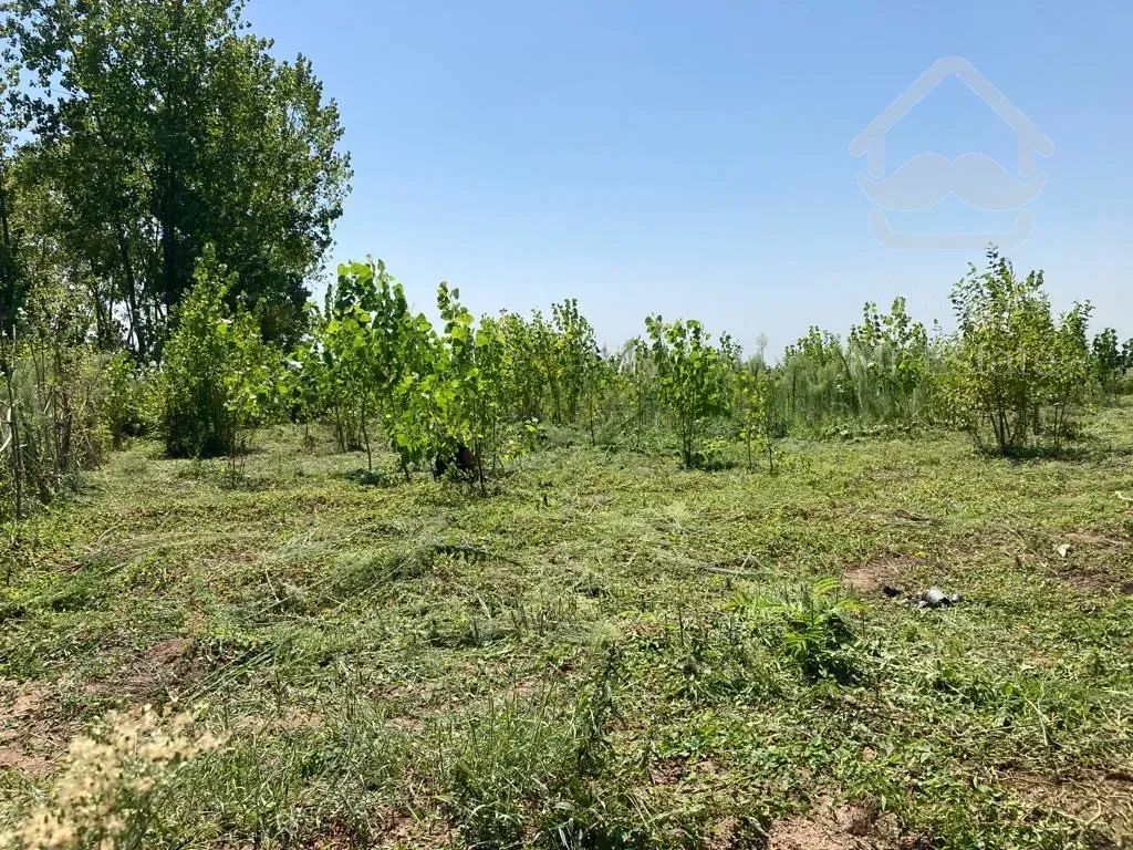 فروش زمین ۱۵۱۰متری در فاصله ی ۱۰دقیقه ی رشت