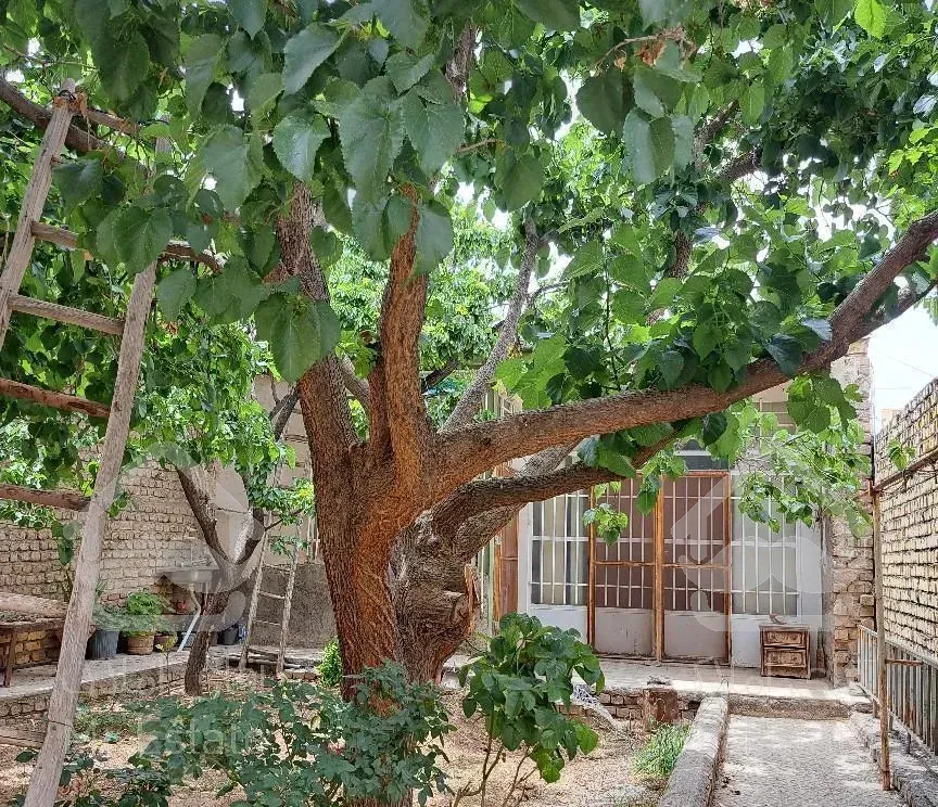 باغ ویلاروستای ابرجس